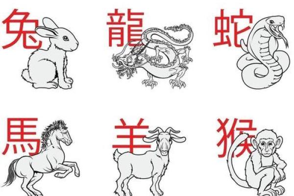 80年属什么的生肖属相