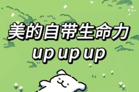 白羊座上升星座是什么(白羊座上升星座是什么型人格的人)