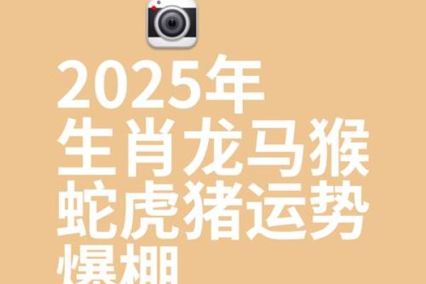 生肖属龙2025年搬厂黄道吉日一览表 2025年属龙搬家黄道吉...
