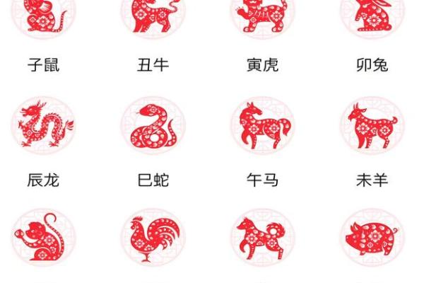 变化无穷的生肖是什么生肖