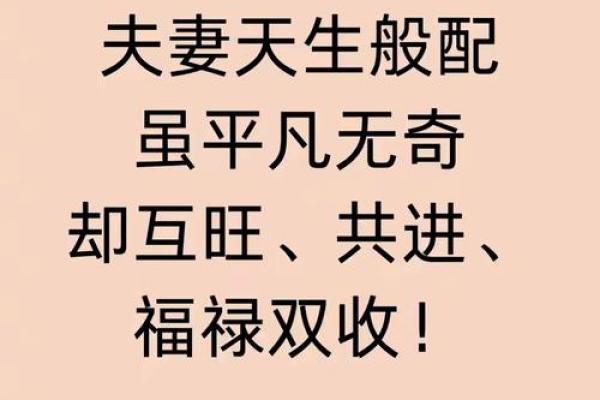 有备无患打一生肖 有备无患打一正确生肖动物