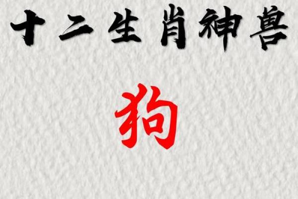 肉包打狗正确生肖是 肉包打狗正确生肖是