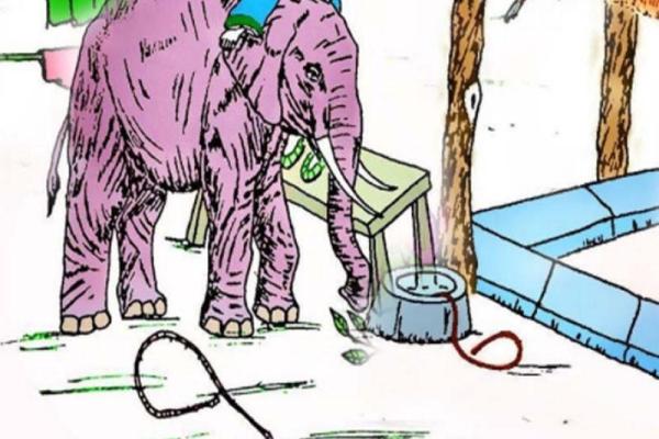 才子美女配一对猜生肖 才子美女配一对猜生肖