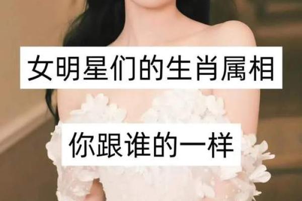 才子美女配一对猜生肖 才子美女配一对猜生肖