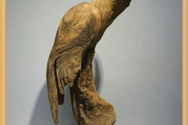 巧夺天工打一正确生肖 巧夺天工指十二生肖