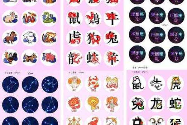 神机妙算打一个生肖 神机妙算打一个生肖