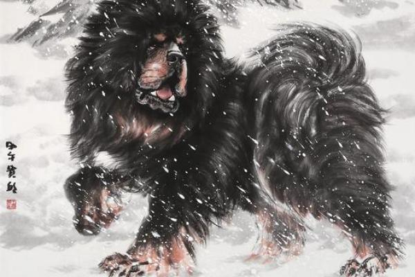 高瞻远瞩指的三大生肖