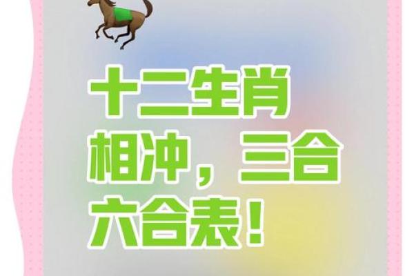 立定脚跟打一正确生肖