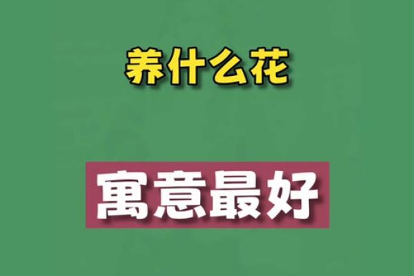 愤世嫉俗打一生肖