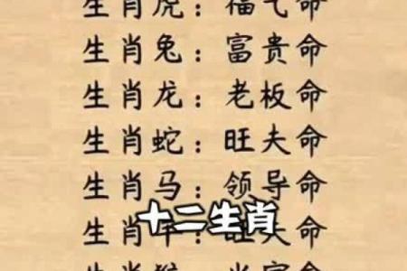 一念之差是什么生肖