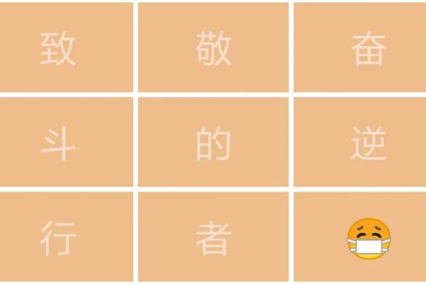 白衣天使打一生肖 白衣天使打一生肖