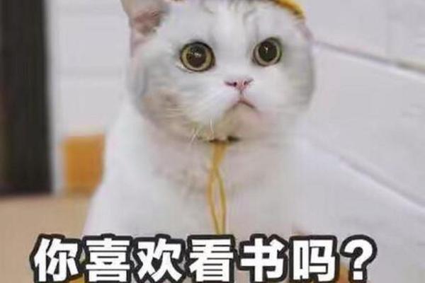 一无所有打一动物