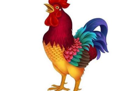 邻鸡惊晓是指什么生肖