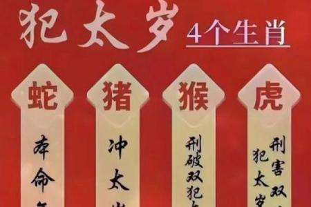 热火朝天指的什么生肖