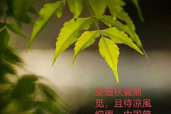 秋声正在八月九打一准确生肖 秋声正在八月九是老虎吗