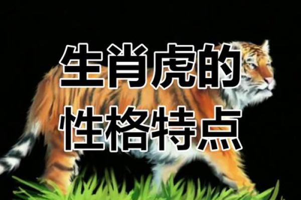 生肖属虎女的性格和脾气,属虎女人的性格弱点 生肖属虎女的性格和脾气,属虎女人的性格弱点