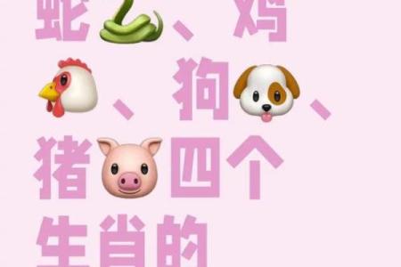 果如其言是什么生肖 果如其言打一正确生肖动物