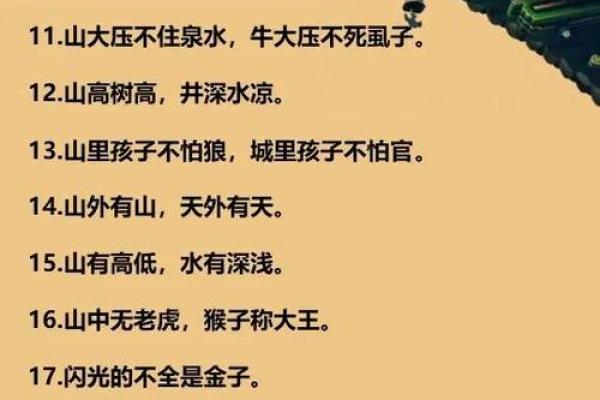 山外有山天外天打一生肖