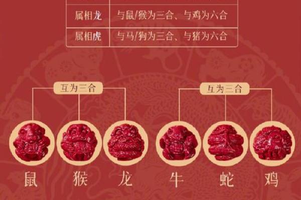 2011年犯太岁的生肖