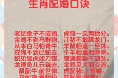 荣辱与共打一个准确生肖 荣辱与共打一个生肖动物是什么-百...