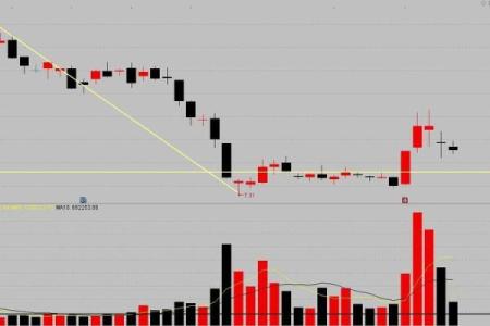 手高手低是什么生肖