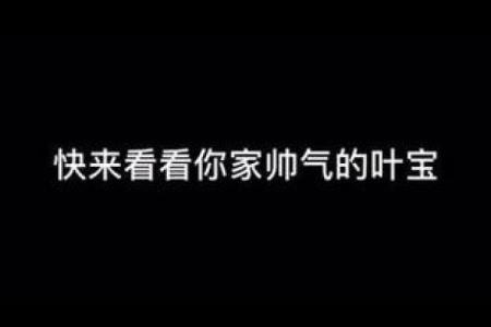 韶光似箭代表什么生肖 韶光似箭打一生肖