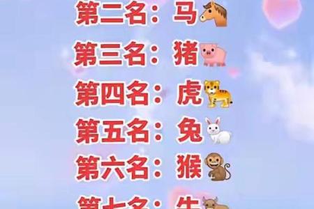 海阔天空是什么生肖 海阔天空的动物打一准确生肖