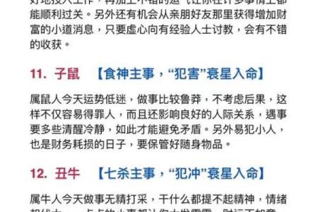 2025年11月理发执日吉日查询：生肖龙狮子座指南提示