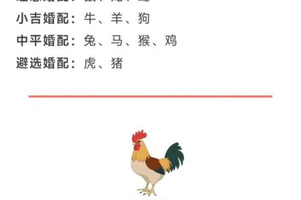 2025年11月生肖鸡摩羯座提车车牌号码吉日:幸运数字与上牌 2025年11月生肖鸡摩羯座提车车牌号码吉日:幸运数字与上牌