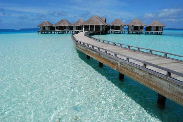 2026年1月安葬珊瑚礁葬与吉日：海洋生态回归自然