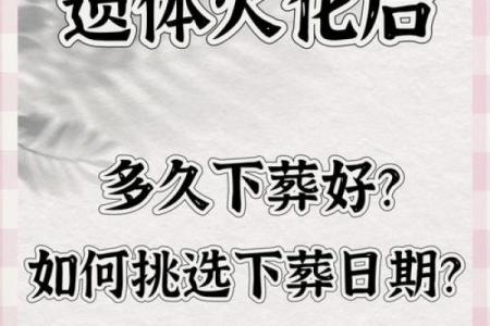 2026年1月安葬珊瑚礁葬与吉日：海洋生态回归自然
