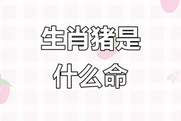 2025年11月生肖猪安葬吉日建日宜忌:双鱼座解析攻略 2025年11月生肖猪安葬吉日建日宜忌:双鱼座解析攻略