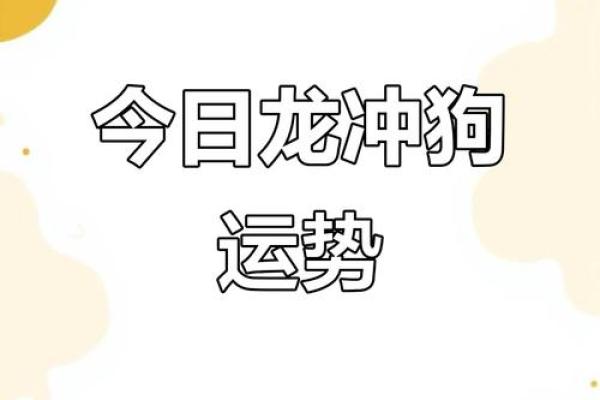 2025年11月生肖狗水瓶座开日宜忌:开业开光利开创 2025年11月生肖狗水瓶座开日宜忌:开业开光利开创