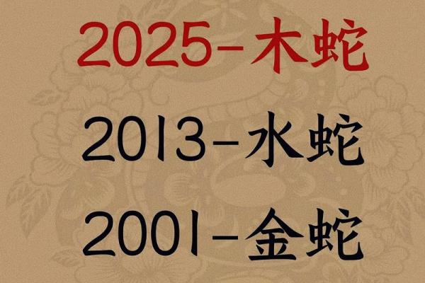 2026年1月生肖蛇提车保险购买吉日:险种选择与吉日 2026年1月生肖蛇提车保险购买吉日:险种选择与吉日