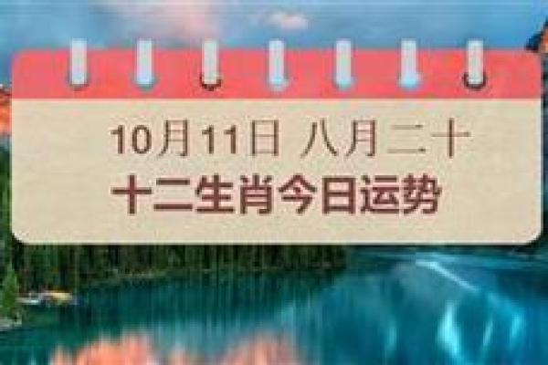 2025年11月生肖龙狮子座定日宜忌：定约盟誓利合作