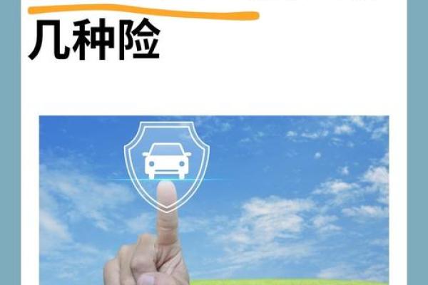 2026年1月提车保险购买吉日：险种选择安全保障