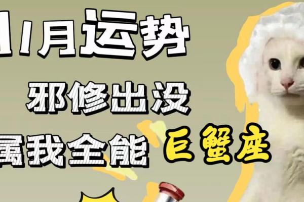 2025年11月巨蟹座幸运日：生肖兔求财祈福纳财最佳时机