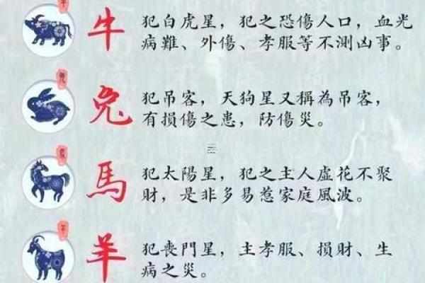 2025年11月生肖猪双鱼座平治道涂修墓吉日：道路修整吉日