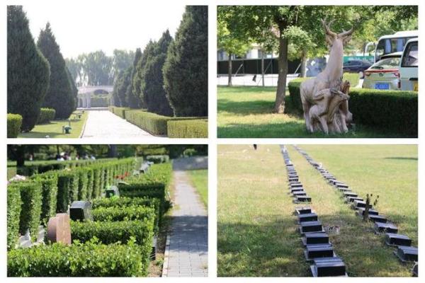 2026年1月安葬生态葬法吉日：回归自然环保选择