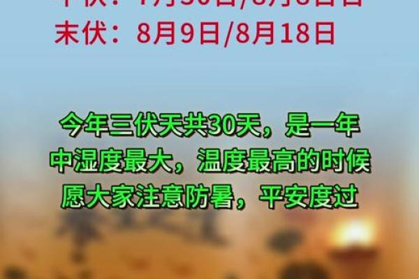 2020年哪天入伏 2020年入伏时间查询 2020年哪天入伏 2020年入伏时间查询