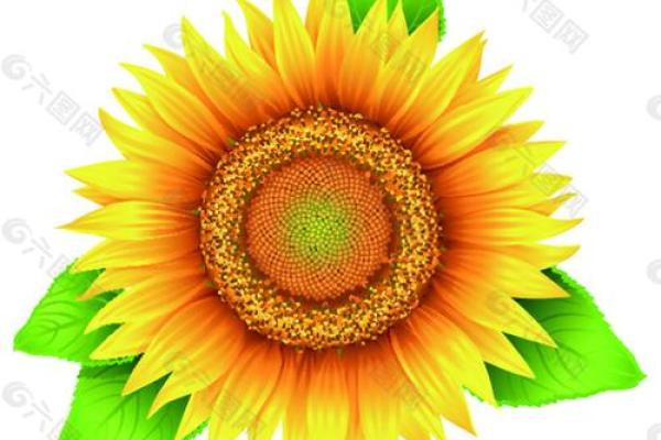 2025年12月11号是黄道吉日吗(12月关键吉日推荐)