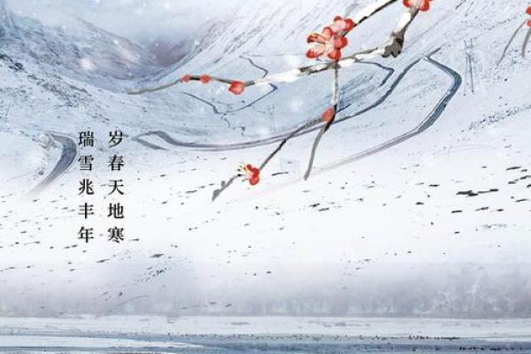 2020年大寒节气图片大全 2020大寒节气海报设计素材