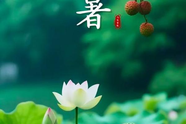 2020年小暑是什么时候 2020年小暑具体时间 2020年小暑是什么时候 2020年小暑具体时间