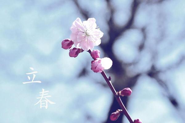 2020年立春几点 2020年立春具体时间查询 2020年立春几点 2020年立春具体时间查询