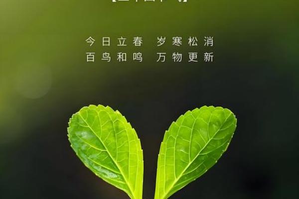 2020年立春时间几点 2020年立春具体时刻查询 2020年立春时间几点 2020年立春具体时刻查询