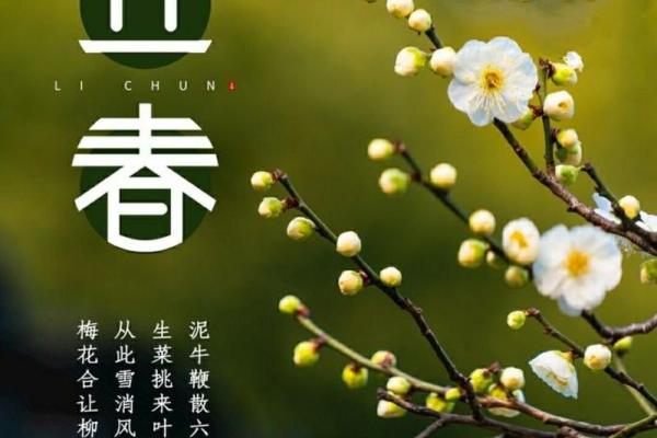 2020年立春时间 2020年立春是几月几号