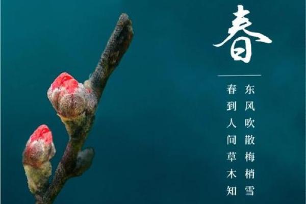 2020年立春时间 2020年立春是几月几号 2020年立春时间 2020年立春是几月几号