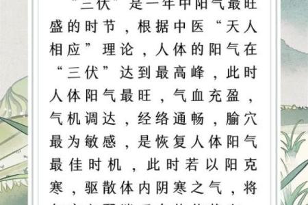 2020年暑伏的时间 2020年三伏天从几号开始