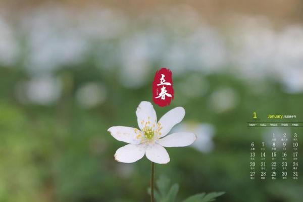 2020年什么时候立春几点几分 2020年立春具体时间查询