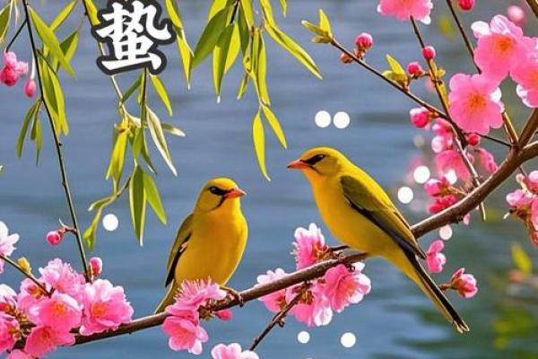 2020年惊蛰时间几点几分 2020惊蛰具体时间查询